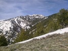 photo thumbnail #12