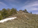 photo thumbnail #13