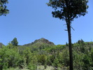 photo thumbnail #8