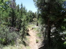 photo thumbnail #9