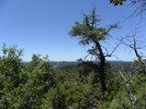photo thumbnail #11