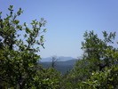 photo thumbnail #13