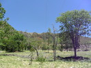 photo thumbnail #14