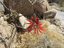 photo thumbnail #2