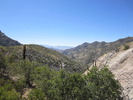 photo thumbnail #7