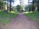 photo thumbnail #3