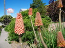 photo thumbnail #8