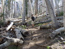 photo thumbnail #3