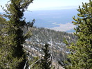 photo thumbnail #11