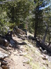 photo thumbnail #12