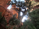 photo thumbnail #15