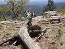 photo thumbnail #13