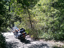 photo thumbnail #1