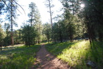photo thumbnail #3