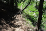 photo thumbnail #13