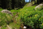 photo thumbnail #14