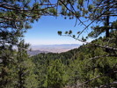 photo thumbnail #1