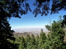 photo thumbnail #3