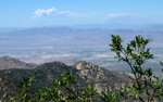 photo thumbnail #4