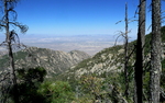 photo thumbnail #10