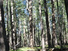 photo thumbnail #9