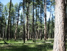 photo thumbnail #10