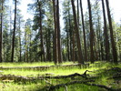 photo thumbnail #11