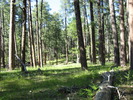 photo thumbnail #13