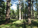 photo thumbnail #14