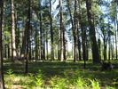 photo thumbnail #15