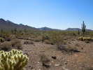 photo thumbnail #5