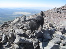 photo thumbnail #8