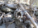 photo thumbnail #13
