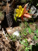 photo thumbnail #6