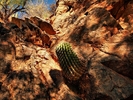 photo thumbnail #2