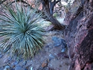 photo thumbnail #6