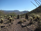 photo thumbnail #3
