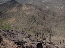 photo thumbnail #11