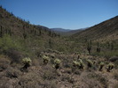 photo thumbnail #14