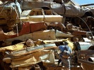 photo thumbnail #1