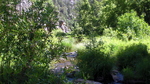 photo thumbnail #11