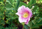 photo thumbnail #13