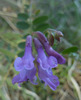 photo thumbnail #13