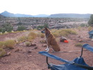 photo thumbnail #15
