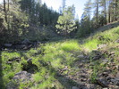 photo thumbnail #11