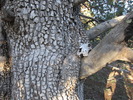 photo thumbnail #14