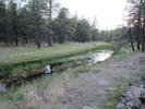 photo thumbnail #15