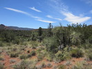 photo thumbnail #13