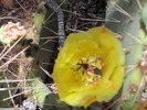 photo thumbnail #15