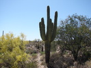 photo thumbnail #5